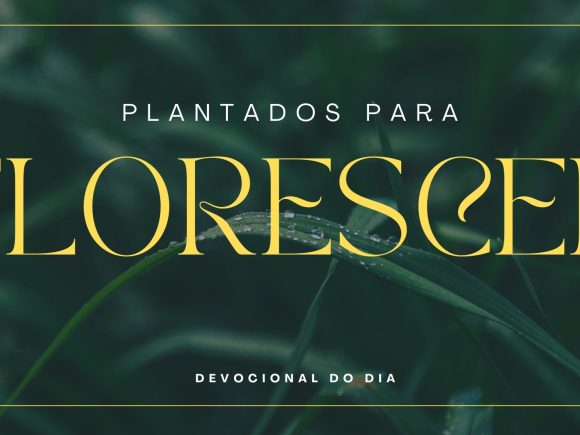 Plantados para Florescer